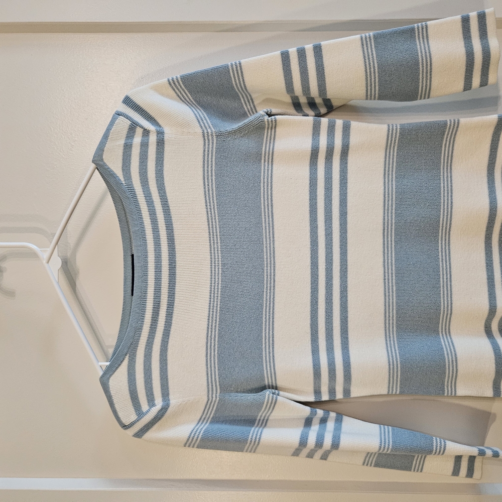 Ann Taylor Blue and White Striped Sweater